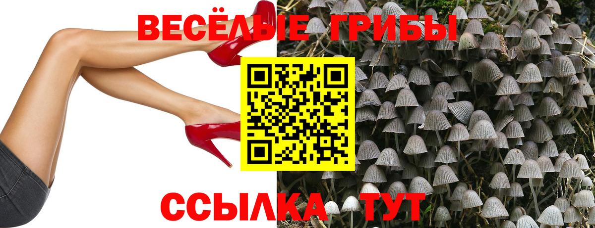 Галлюциногенные грибы Cubensis  Вход с VPN  Новороссийск 